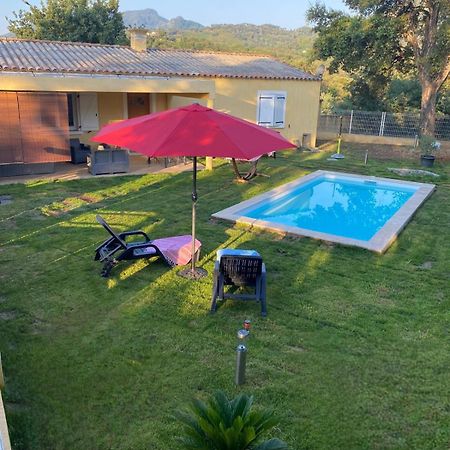 Agreable Rez De Jardin Avec Piscine Et Jacuzzi Apartment Cervione Exterior photo